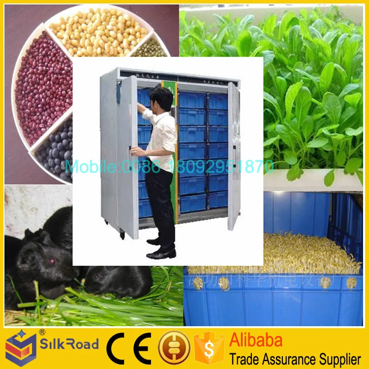 Good Quality cattle green fodder growing machine
