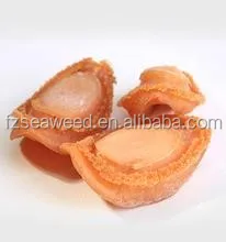 dried Food Grade Quality Abalone FOR SALE