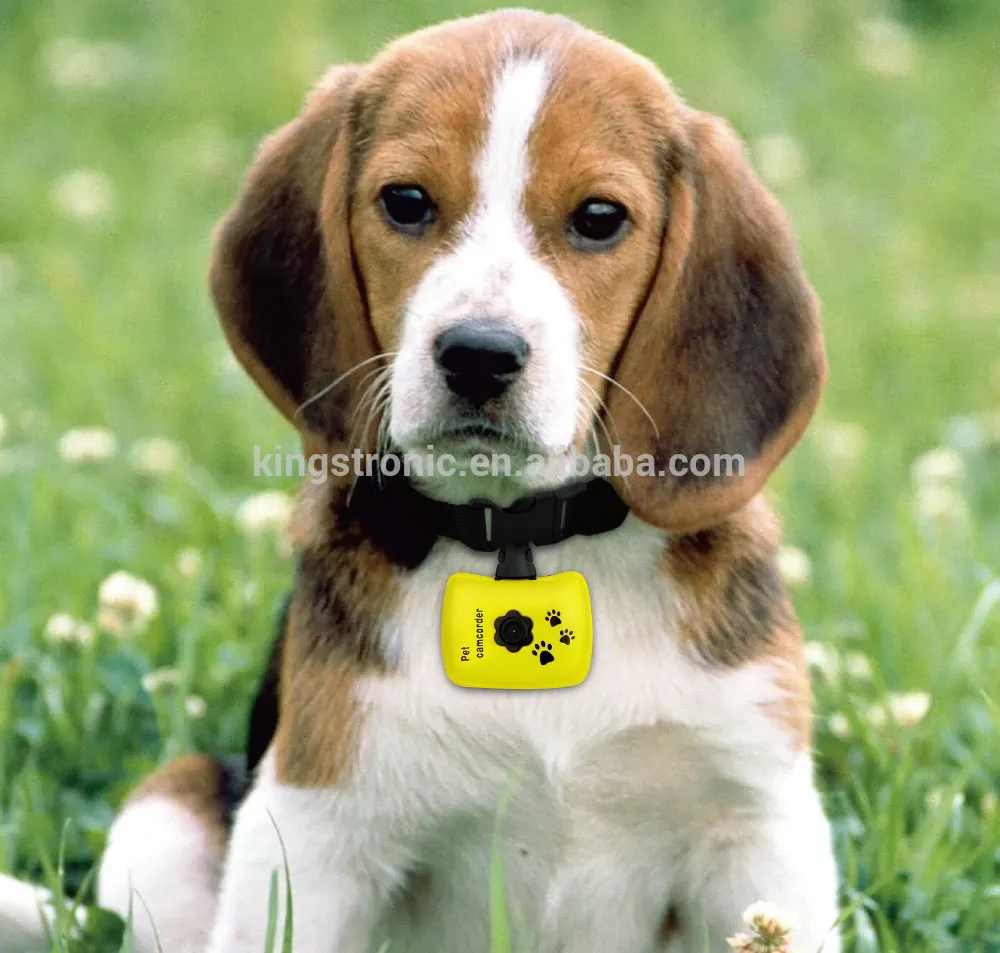 Hot sale 480P (640*480) ultra mini and light with CE/ROSH/FCC digital camera