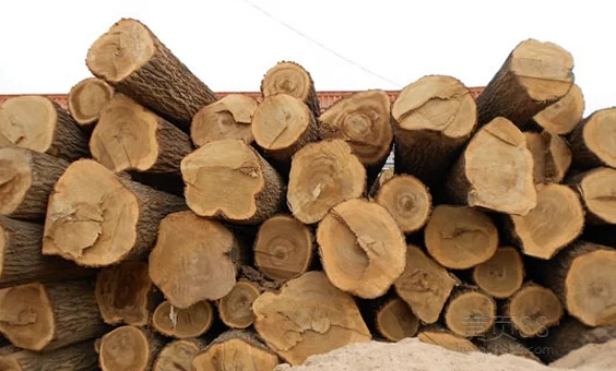 Дешевая древесина Elm изготовленная для высококачественного бильярдного кия из