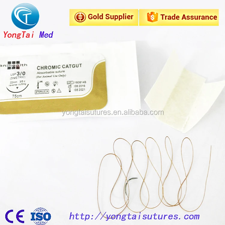 Professional thread chromic catgut,yongtai chromic catgut suture manufacturer