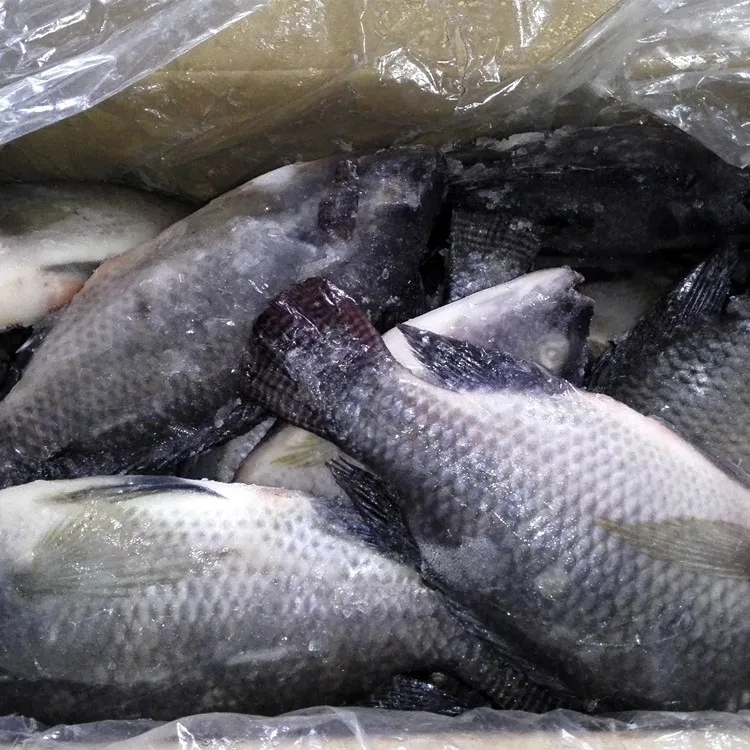 
chinese frozen fish 500-800g 