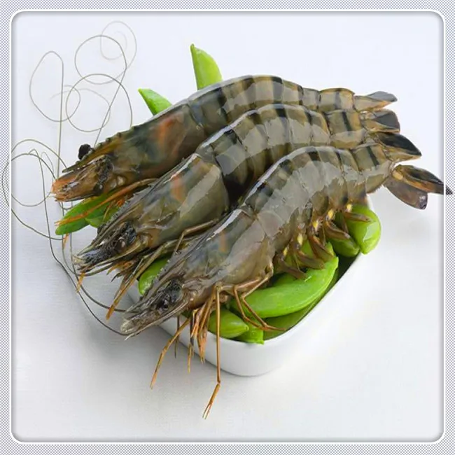 Aquaculture probiotic for shrimp and fish