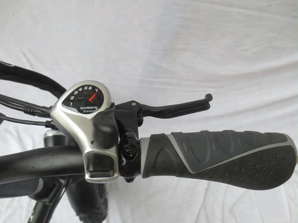 QUEENE/Cheap Foldable Electric Bicycle China/fat tire Electric Bike folding Ebike