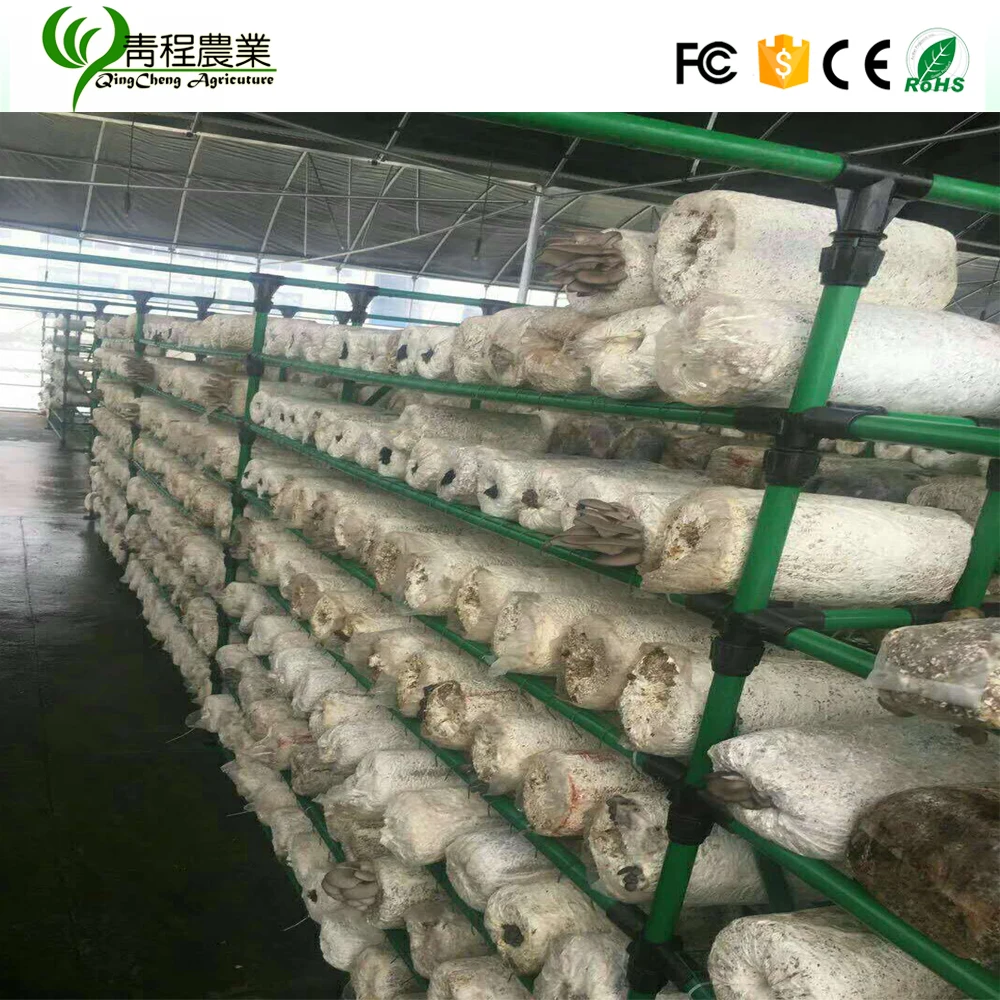 mushroom growing shelves greenhouse for sale