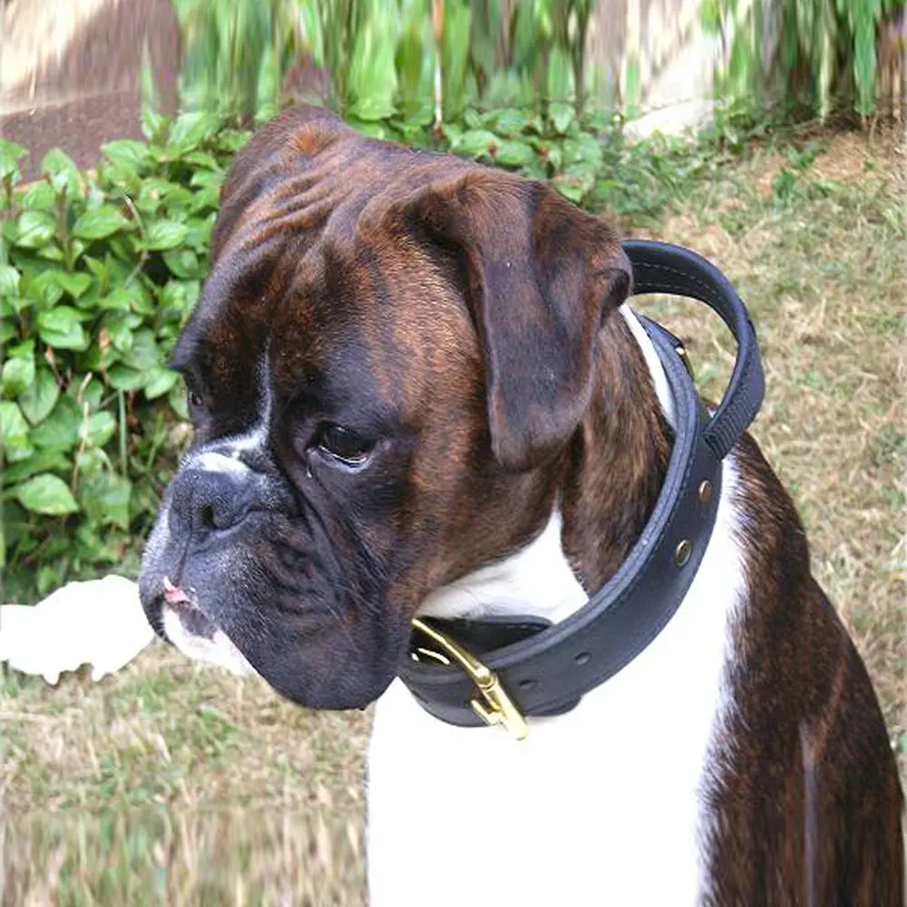 Wholesale cheap adjustable leather dog collar with convenient handle