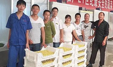 automatic bean sprout growing machine\hydroponics equipment\farm machinery