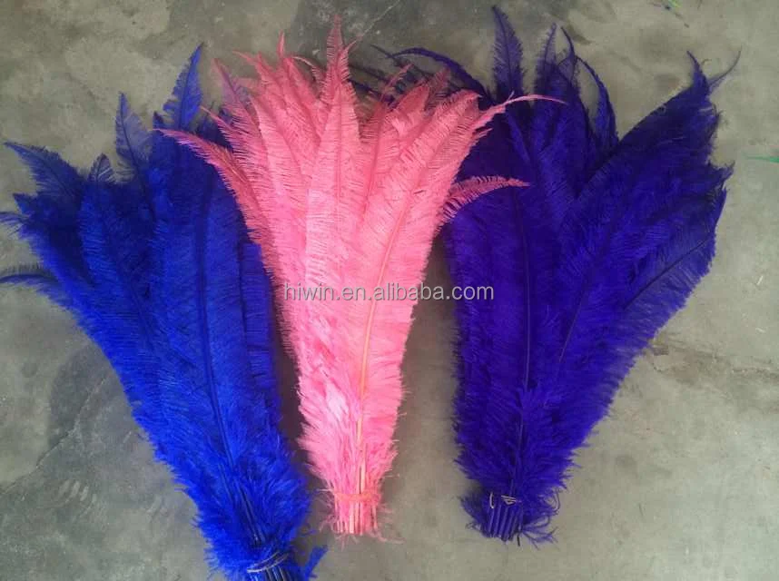 Trimmed Ostrich Feather