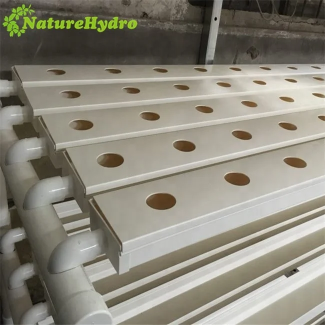 Hydroponic farming shipping container system vertical NFT