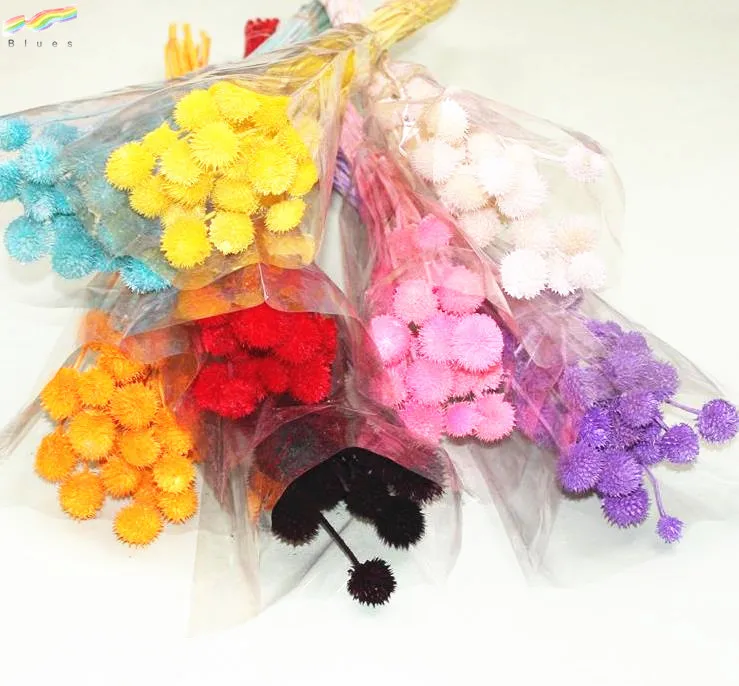 Dried Flowers Globe Amaranth Gomphrena Globosa Pineapple Button Flowers