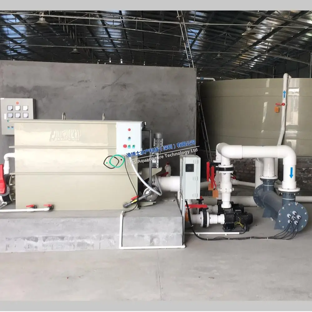 Water treatment systems for offshore aquaculture and land-based facilities feeding fresh perch