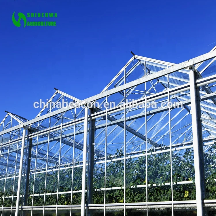 Hualiang prefabricated venlo glass garden greenhouse