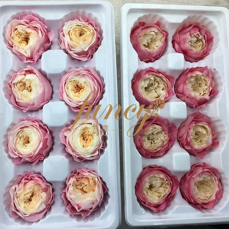 Wholesale Preserved Flower Real Natural Preserved Austin Roses for Wedding Flower Wall