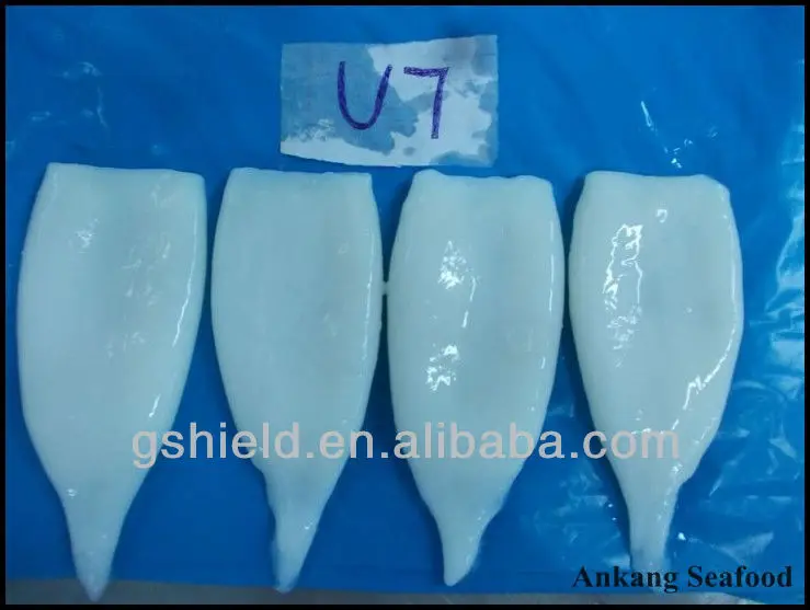 IQF high quality size u5 u7 u10 frozen squid tube