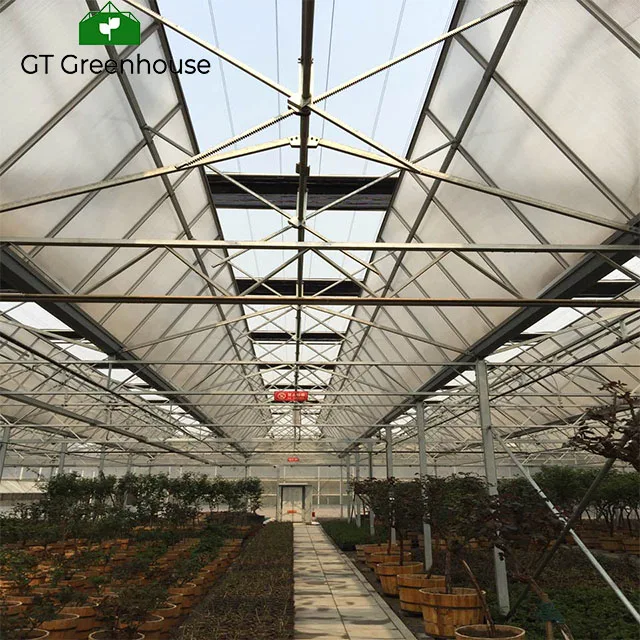 Agricultural Used Victorian Polycarbonate Greenhouse Equipments for Sale