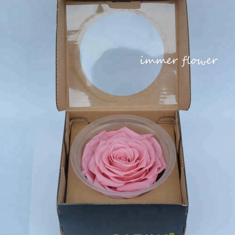 
Everlasting flowers ecuador huge rose Preserved Black Roses Flower 