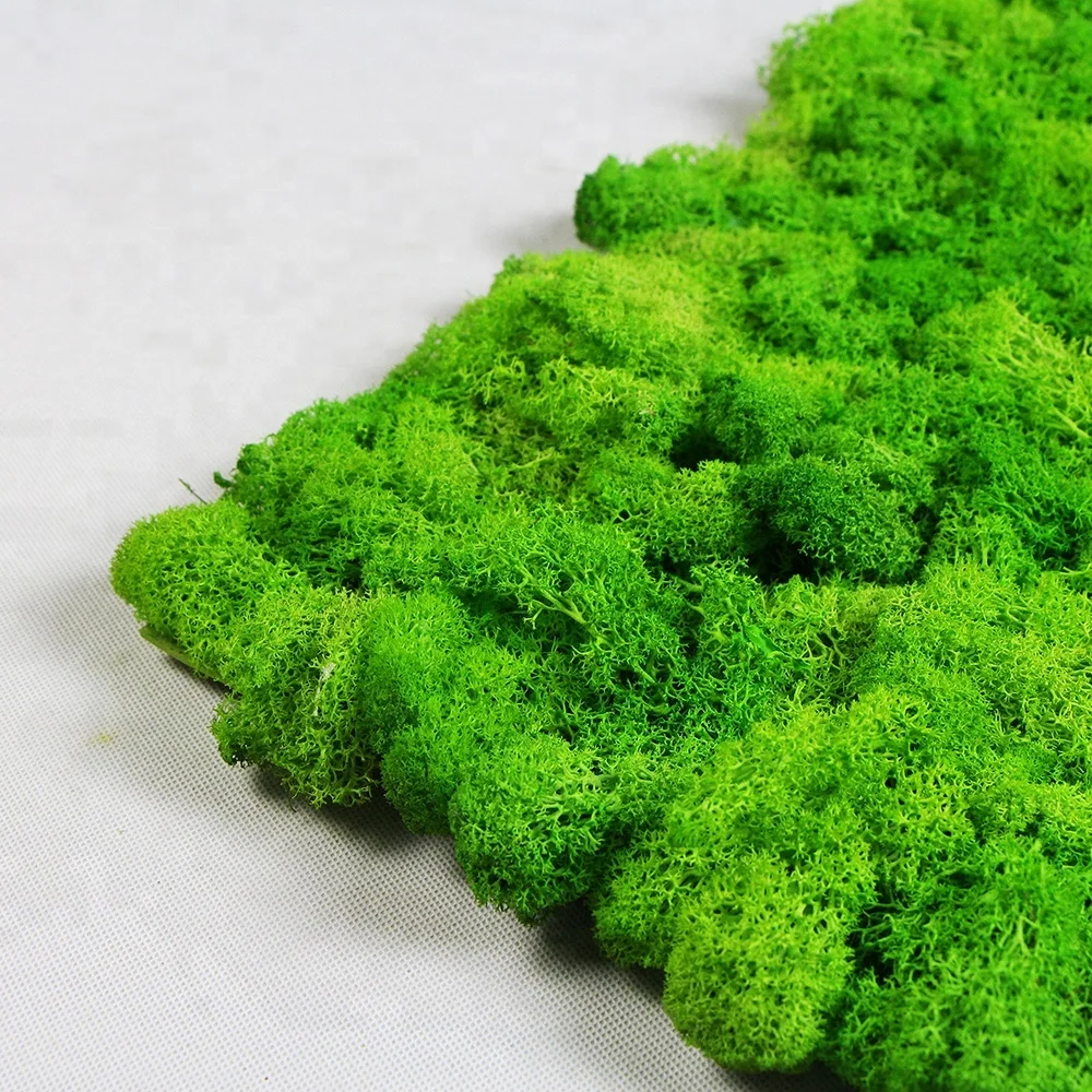 New products custom preserved reindeer outdoor artificial moss grass wall for decoration