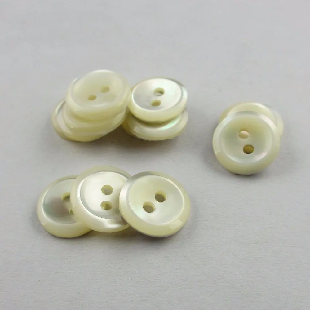 nature sea trocas shell button