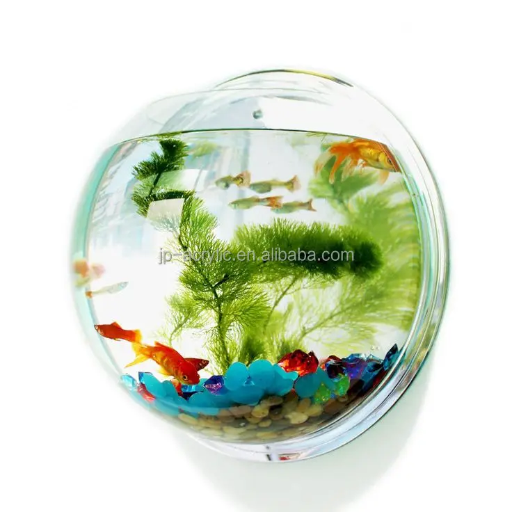 
Indoor Small Acrylic Fish Tank Wall Hanging Fish Bubble Aquarium Plant Pot Wholesale Acrylic Wall Mounted Fish 