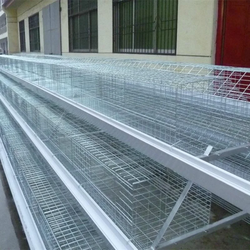 INNAER 2m 5tiers 160birds 40nests chicken layer cage