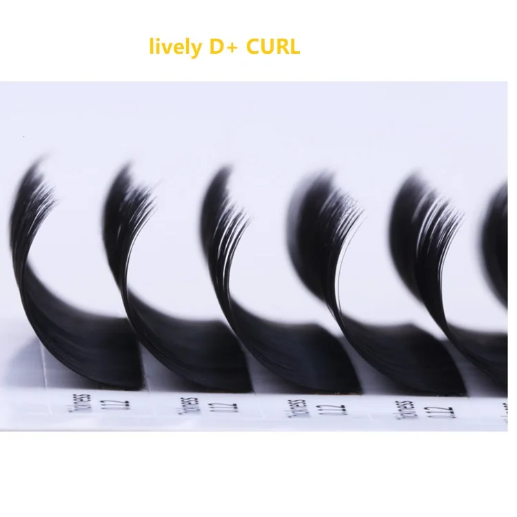 Lively D+ Curl Split Tips Flat Eyelash Extension Wholesale 0.12