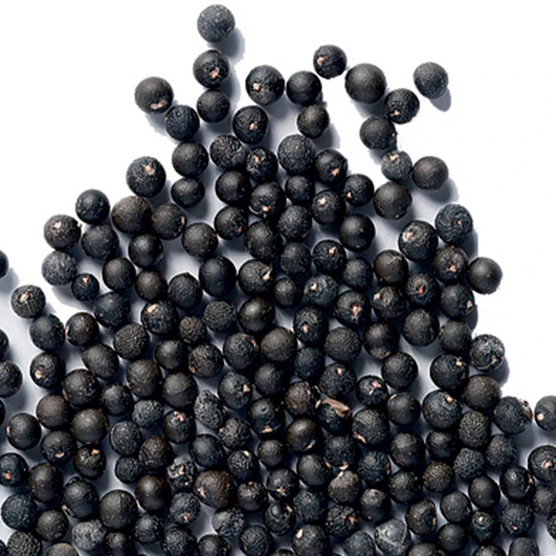 
Suntoday Red purple hybrid F1 asparagus seeds 10gr/bag 