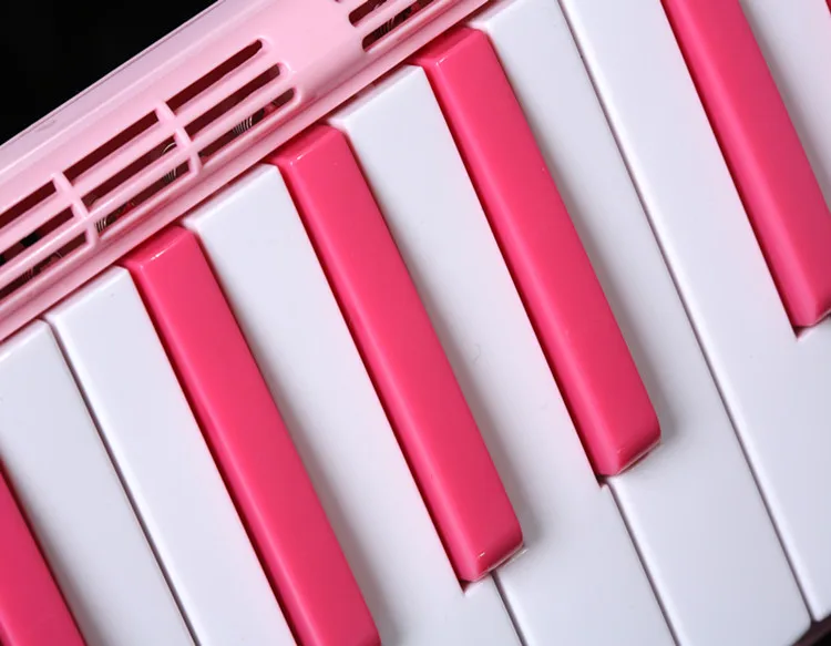 BM37SL Easttop new products 37 keys students melodica melodion