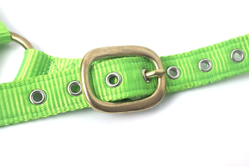 Traditional Wholesale Colorful Adjustable Nylon Horse Halter Accessories for Horses