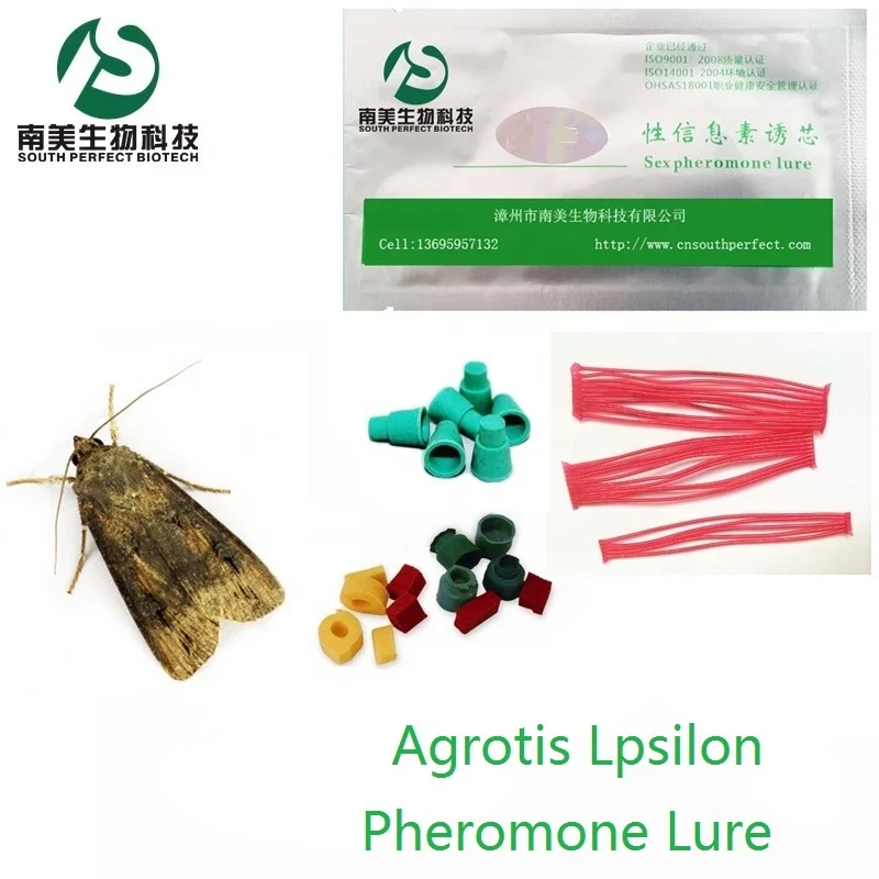 Pheromone Lure for Agrotis Ipsilon Black Cutworm Agrotis ypsilon Rottemberg Attractant Trap