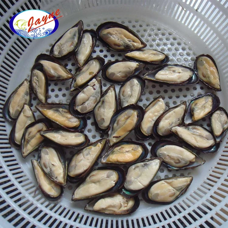  Низкая цена морепродукты моллюсков замороженная полускорлупа