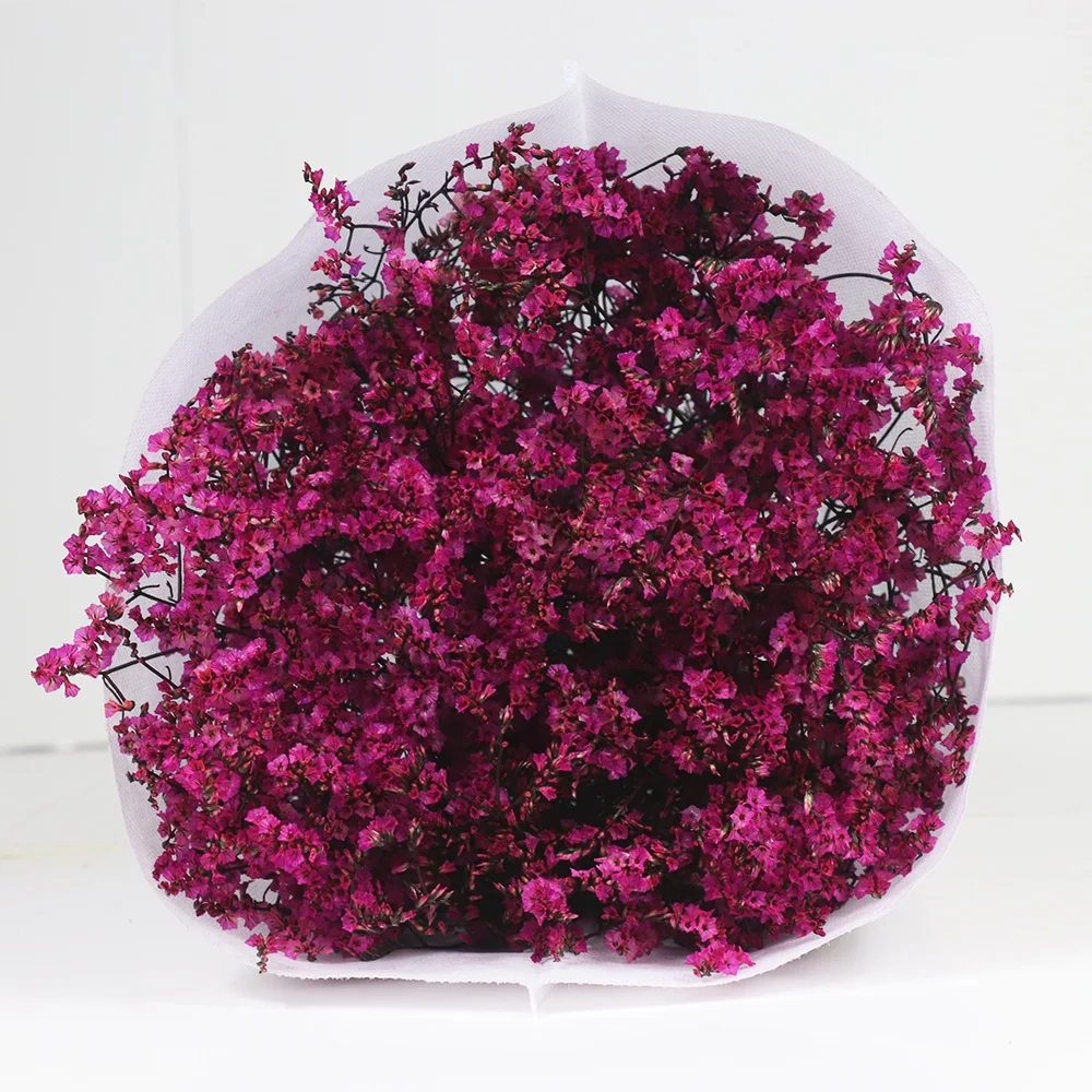 Preserved Everlasting Caspea Limonium  Multi-color For Portable Stage Decoration Backdrop Design lavender flowers dried