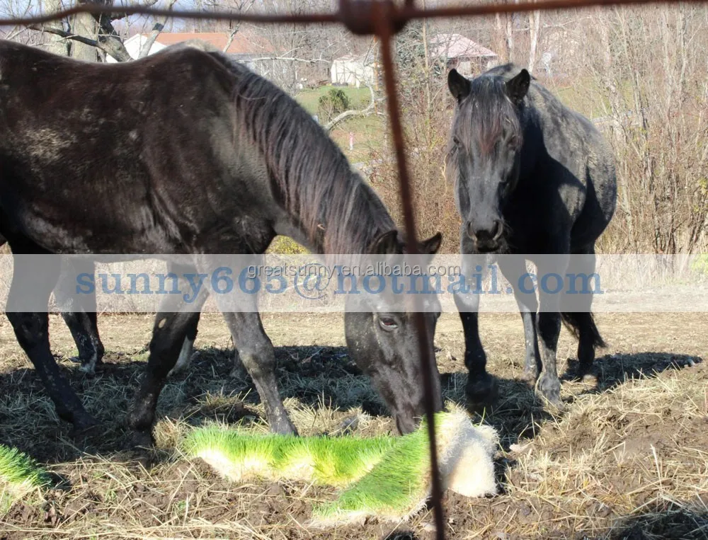 Hydroponic plant machinery, alfalfa, barley grass, cattle and sheep feed plant equipment