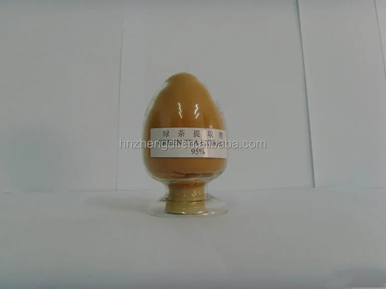 Plant extract 100% pure green tea leaf extract powder