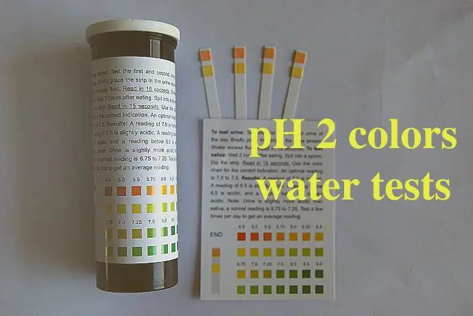 dry urine test strip 2K