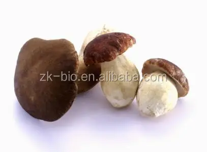 
Hot Selling Funghi Porcini Mushroom 
