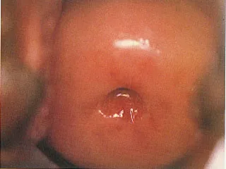 1394441857652_hz-fileserver-upload3_10996072