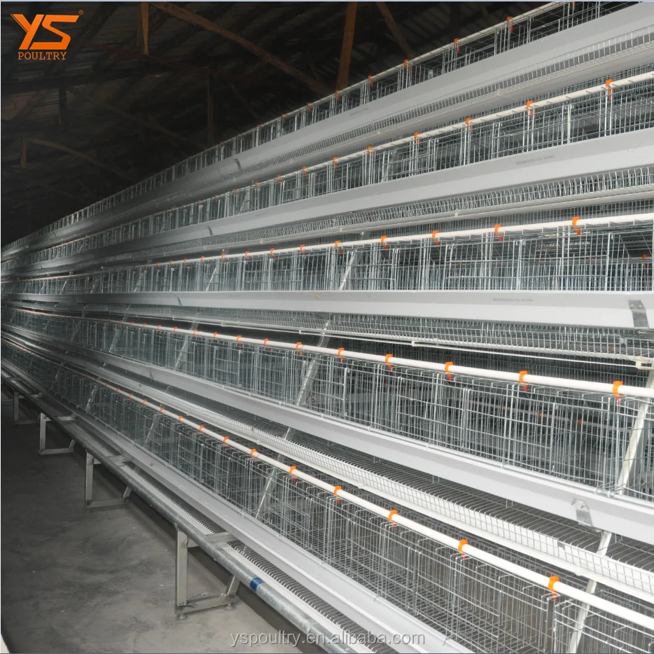 
Hot Galvanized A Type Battery Chicken Layer Cage 
