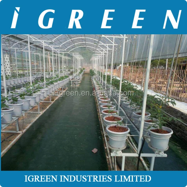 Commercial NFT hydroponics system