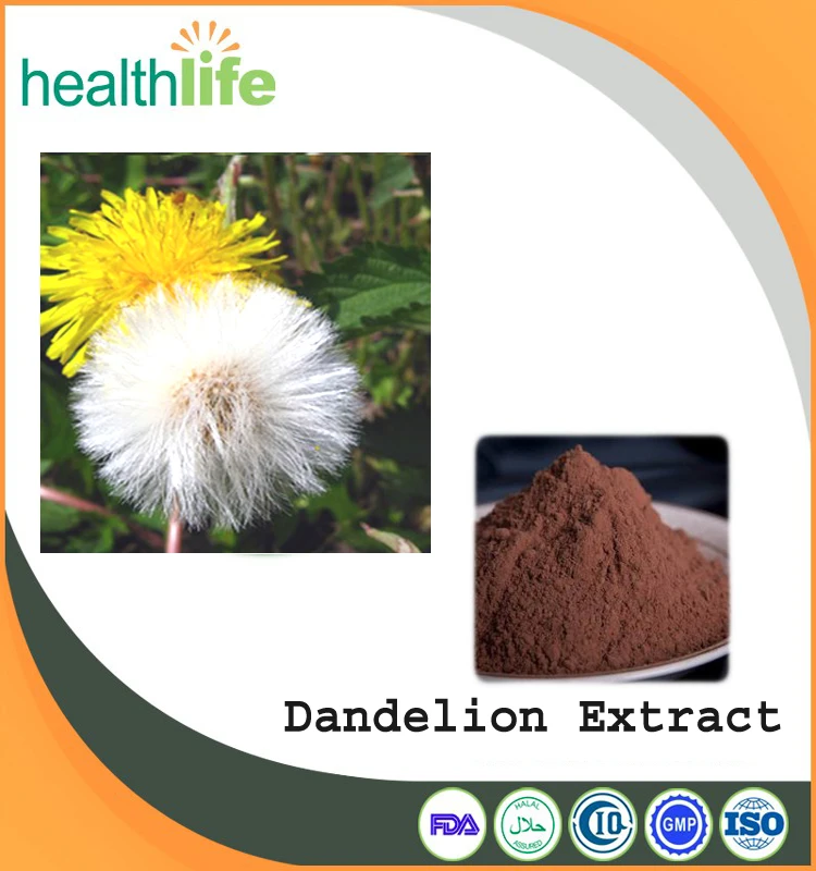 
Factory Supply Nature Taraxacum Dandelion Extract Dandelion Root extract powder 