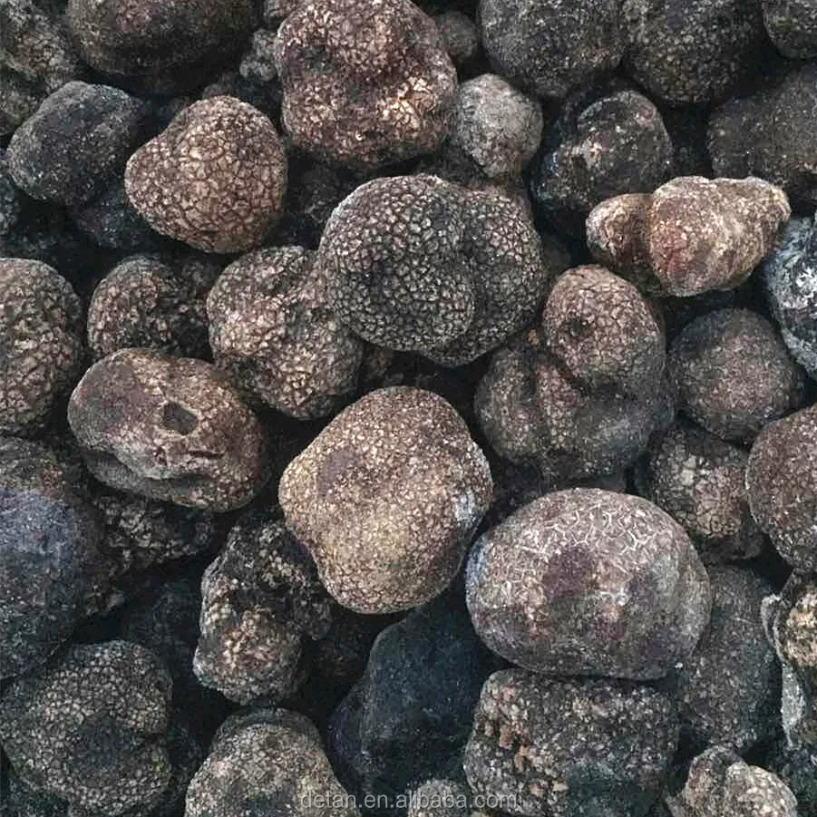 Detan Sell China Frozen Black Truffle Mushroom Fungus Price