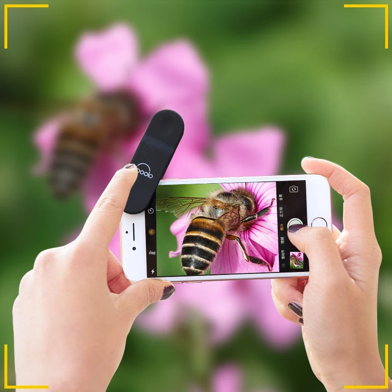 Iboolo Brand 16MM Factory Wholeselling Wide Angle Macro PRO Mobile Camera Lens with Universal Clip