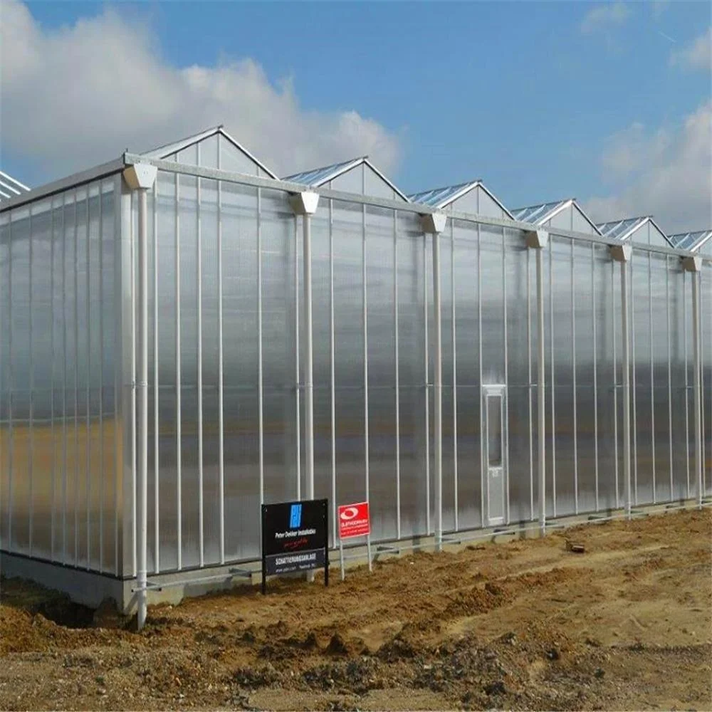 
Natural vents aluminium framing sequoia orchids growing seedling poly tunnel greenhouse steel frame tunnel 