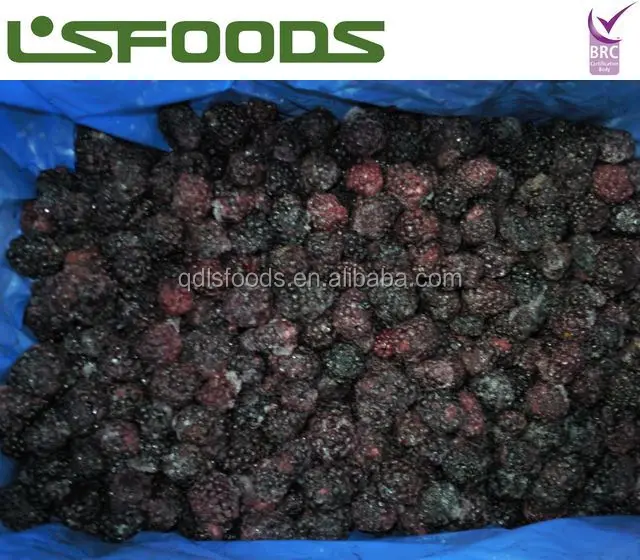 
China Wholesale Frozen Blueberry Bulk frozen blackberries 