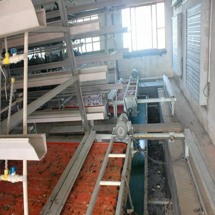 Battery layer chicken cage design automatic manure cleaning system