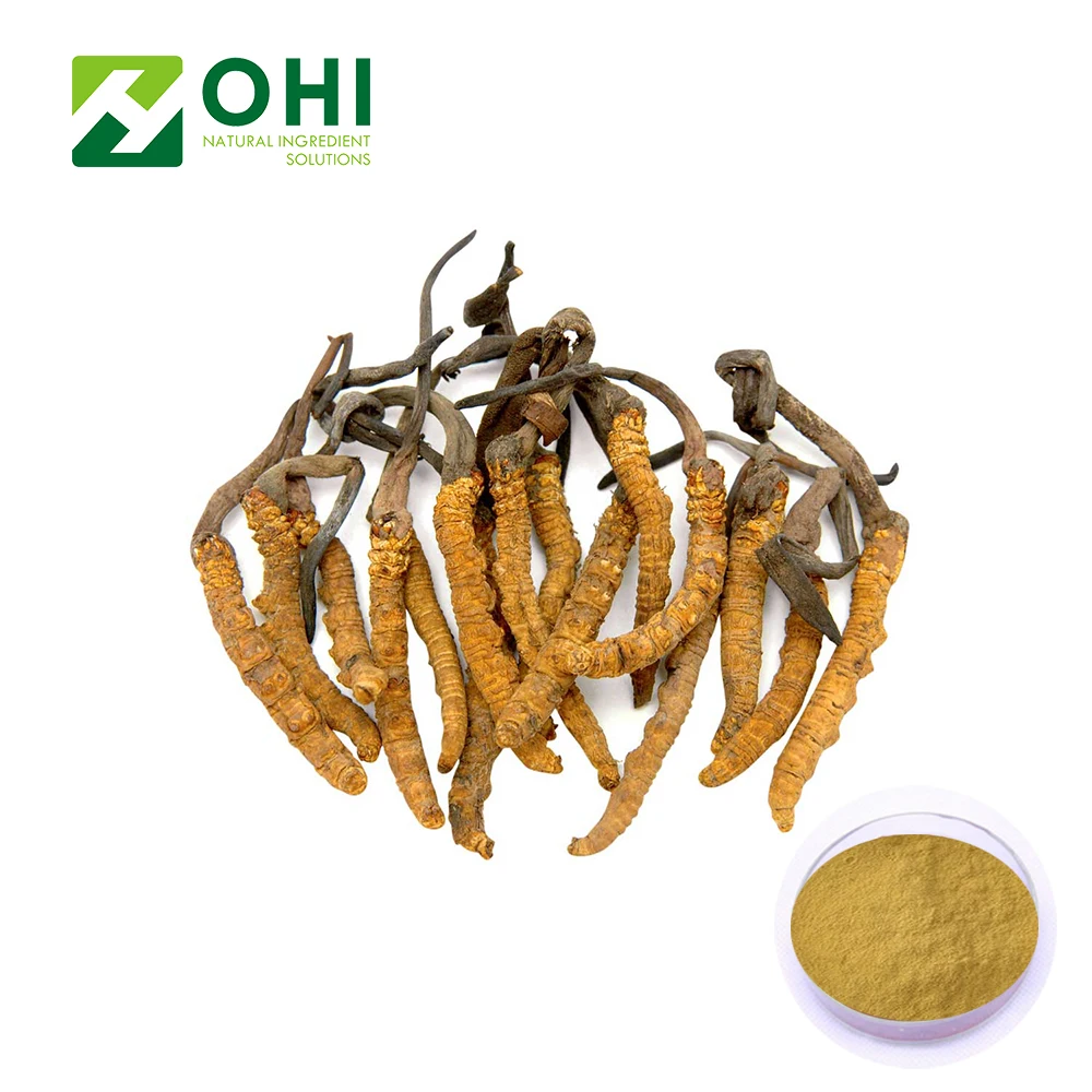 UV-VIS 20% 40% 50% Polysacharides Cordyceps Sinensis Extract GMP certificated factory Mycelium extract
