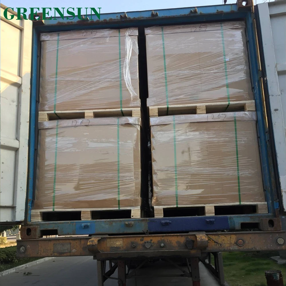 Geensun Monocrystalline Solar Panel 300W 60 Cells 300 Watt 300Wp PERC Panels