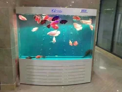 Large Acrylic Aquarium Fish Tank  Back Cycle Back Filter In The Tank