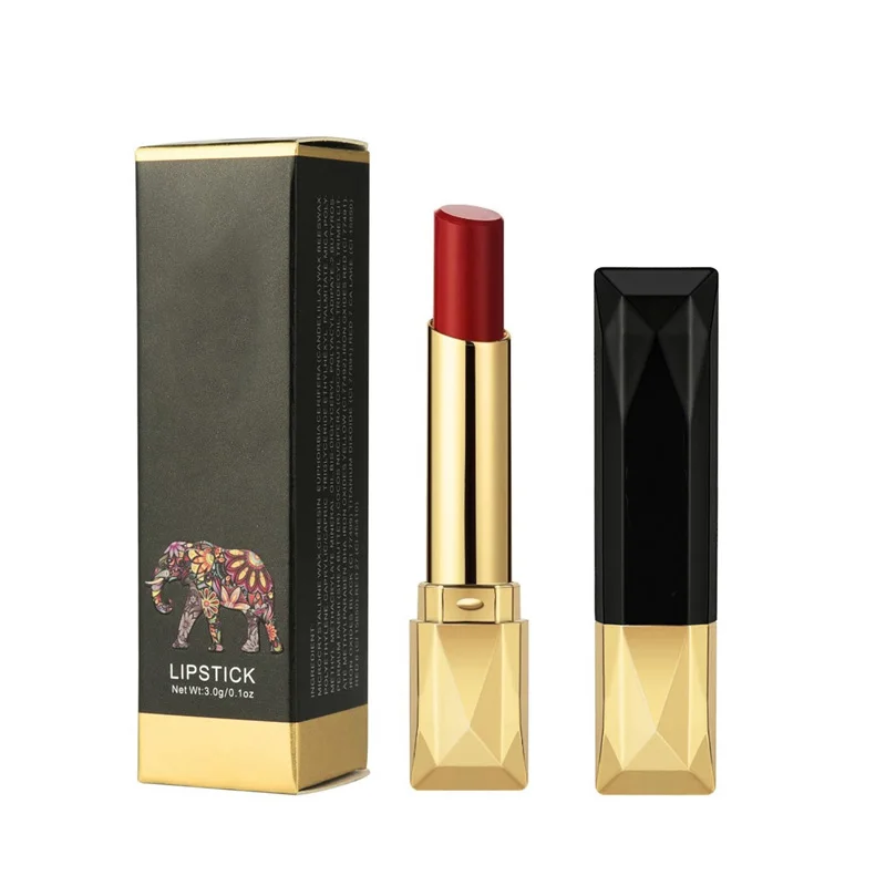 Free Sample 24 Colors Black Lipstick Waterproof High Quality 4D Lipstick