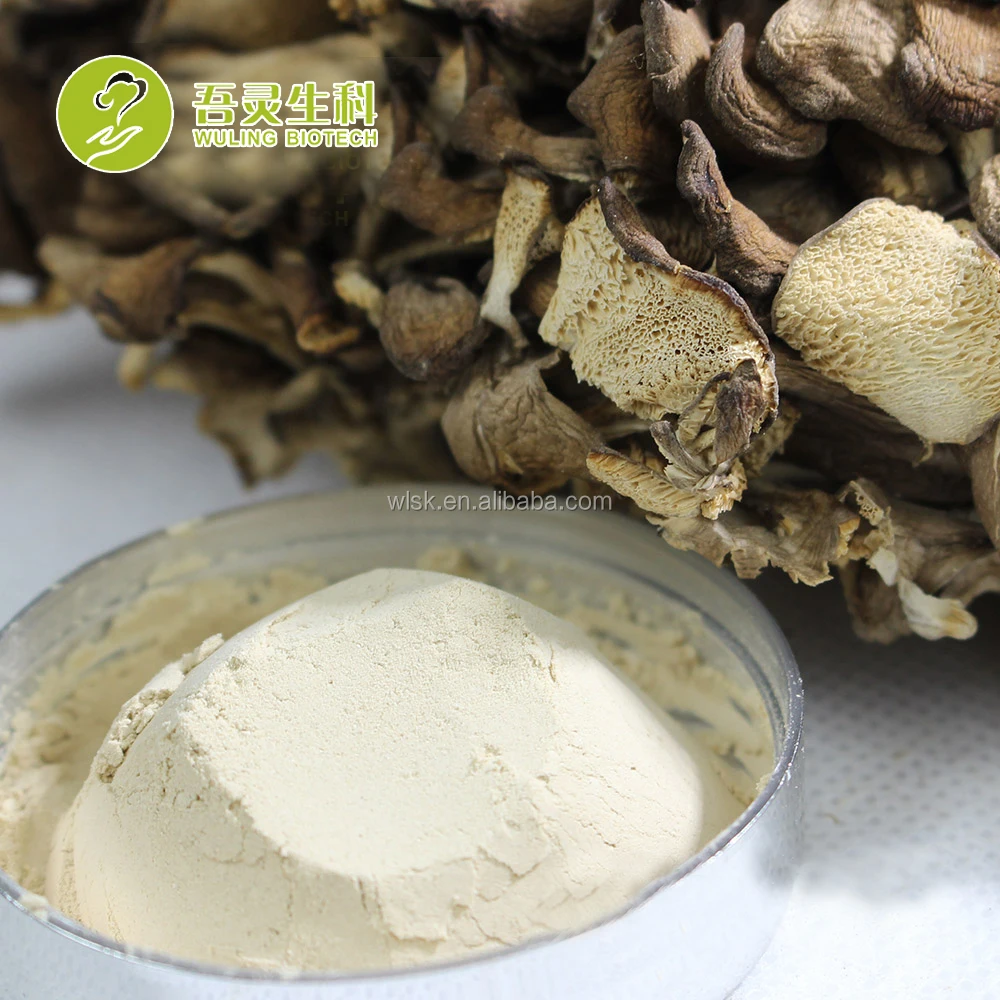 Free sample professional manufacturer maitake fungi frondosa mushroom growing with PDF approval