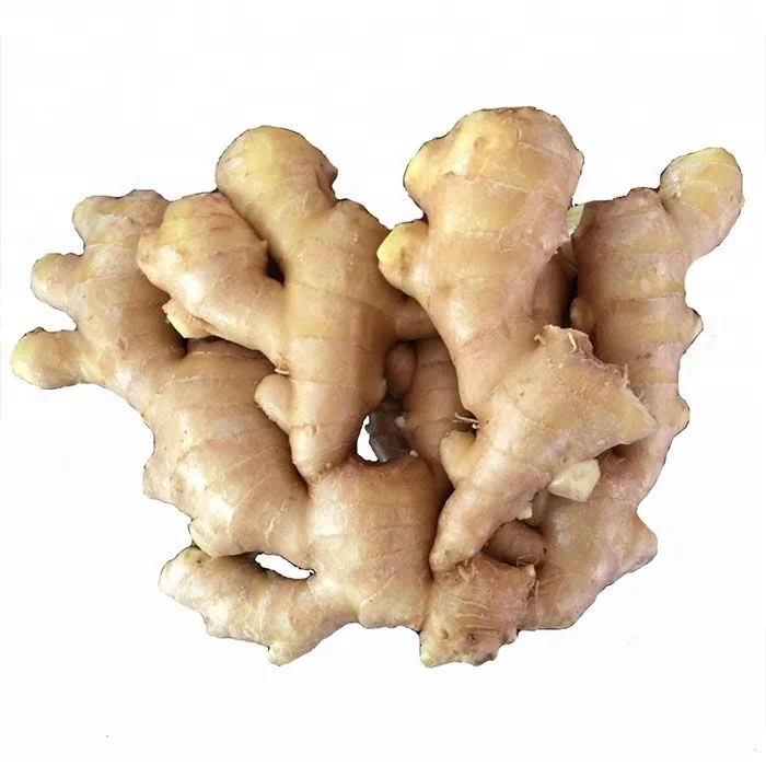 
Chinese Organic Fresh Ginger Price 